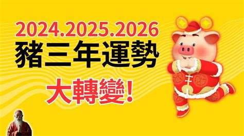 屬豬幸運色2024|【2024屬豬幸運色】2024年屬豬者的幸運色與運勢攻略！點亮幸。